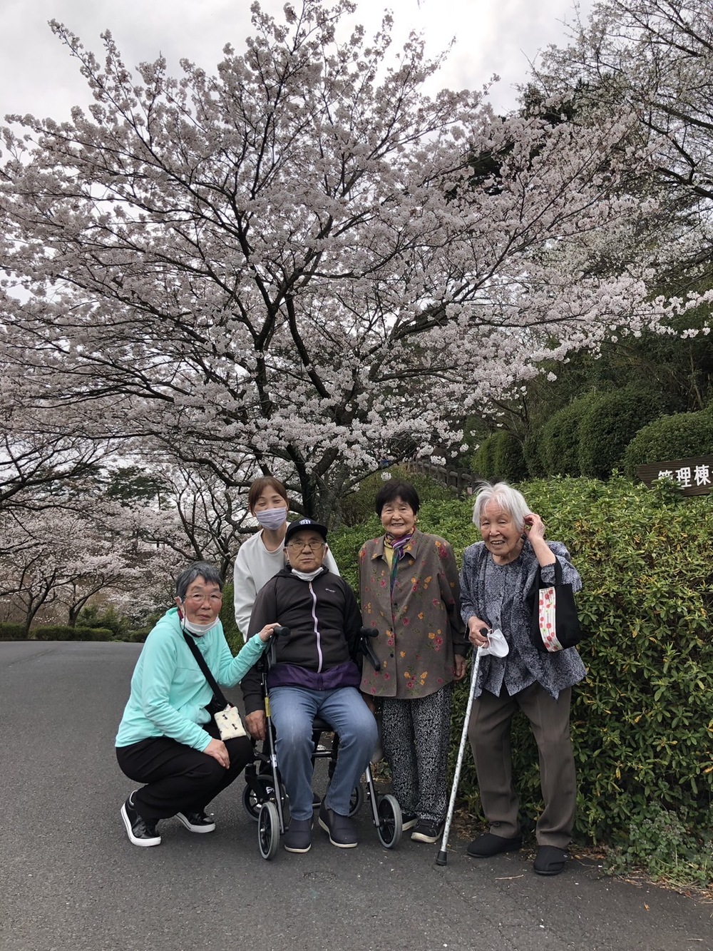 お花見外出１