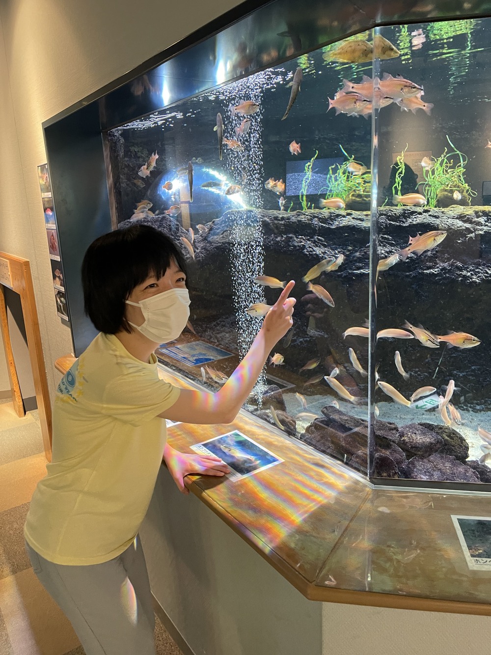 初夏の外出２
