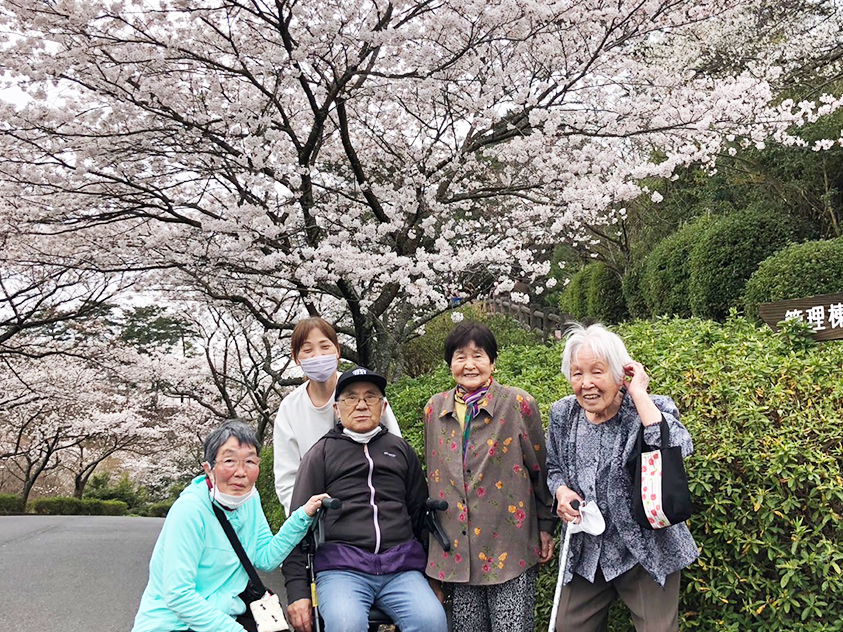 花見外出