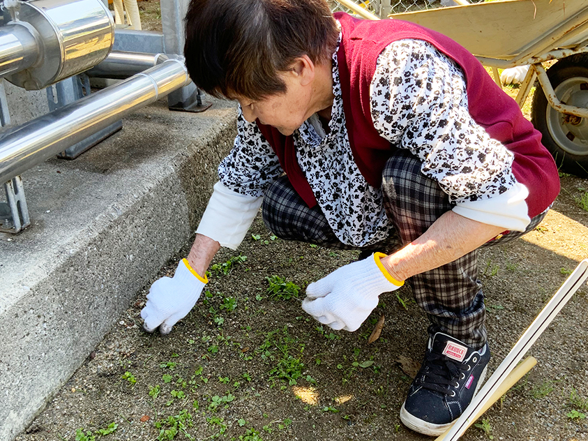 草取り