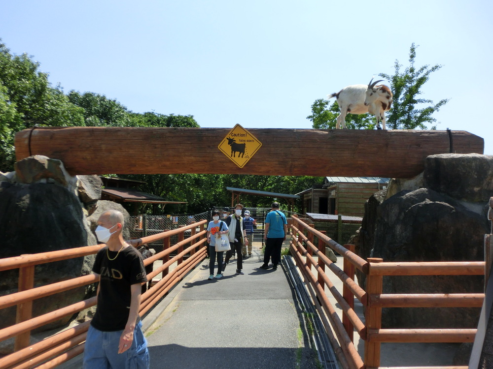 一泊旅行４