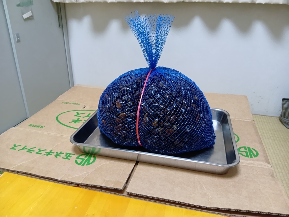 しじみ寄贈1