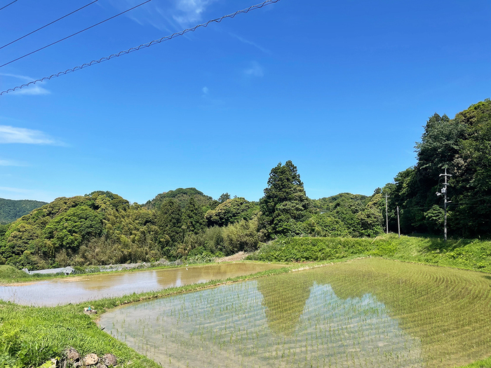 田園風景にいやされて