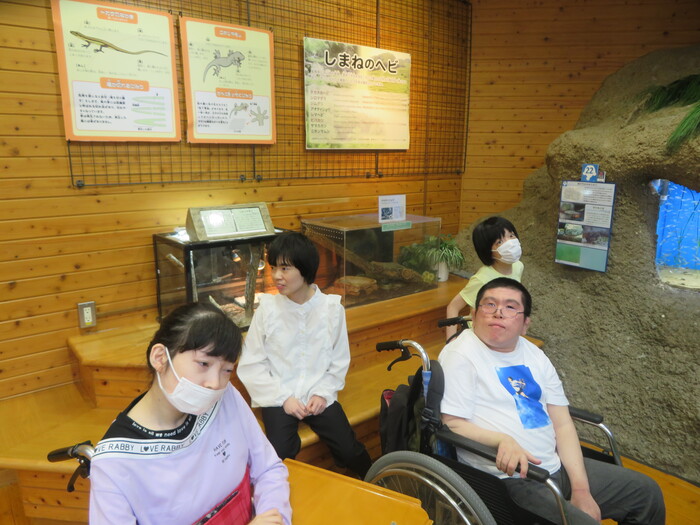 初夏の外出　トップ