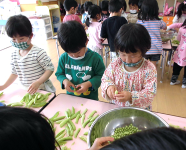 豆の皮むき