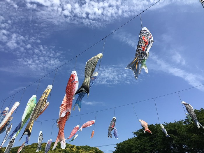 トップ