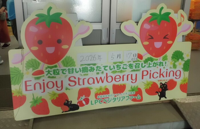 トップ